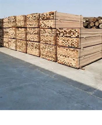 廠家進(jìn)行淺談中國建筑木方霉變的原因